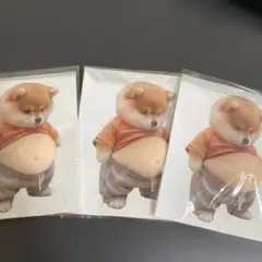 【訳あり】柴犬 お腹 ぷにぷにシール3枚セット
