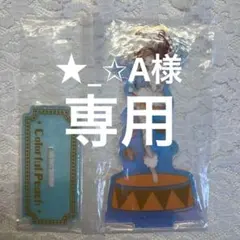 ★_✩A様専用ページ