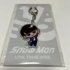 すのチル アクリルキーホルダー渡辺翔太