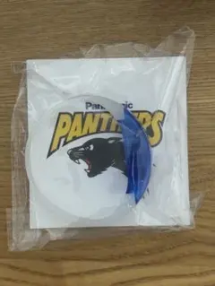 Panasonic Panthers LEDブレス
