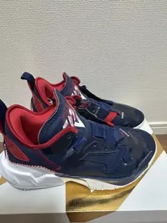 廃盤品 リーボック BOXING BOOT-BUCK メンズトレーニングシューズ