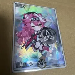 ホロカ 白エール SY ラオーラ・パンテーラ