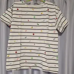 ☆インセクトコレクション☆昆虫総柄ボーダー半袖Tシャツ♪大人Mのサムネイル