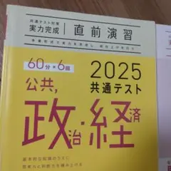2025 共通テスト 公共・政治経済 直前演習☆大学受験
