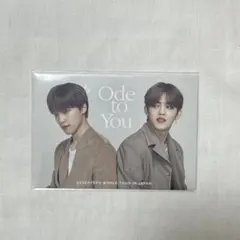 エスクプス　ディノ　トレカ