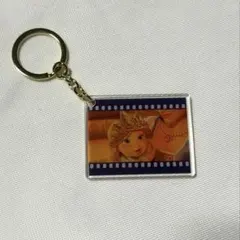ディズニーストア シークレットキーチェーン ラプンツェル