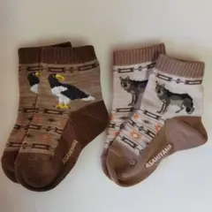 旭山動物園の動物たちの靴下