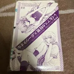 新世紀エヴァンゲリオン　レイ＆アスカ特製スポーツタオル　月刊少年エース2007年
