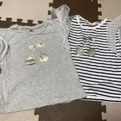 プティマイン120 2枚セット