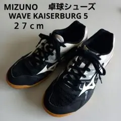 Mizuno WAVE KAISERBURG 5 卓球シューズ【２７cm】