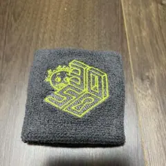 ミスチル30周年ツアーグッズ リストバンド