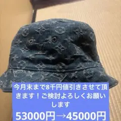 ルイビトン　バケハ