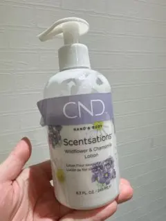 2026年最新】センセーション ハンド&ボディローション ワイルド