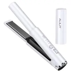 Item thumbnail for item 13ef61ec-a728-42d0-99e9-c2b06d3d65db