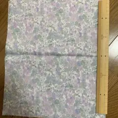 Item thumbnail for item 6b5b2660-5e0c-466d-a5fd-7d500a021ce8