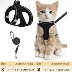 Item thumbnail for item af08230e-e1b1-4c6a-a650-293cf96ddc7d