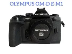 【動作確認済・シャッターほぼ新品】Olympus E-1 ボディ これは驚いた!』 オリンパス E-1 ボディ のクチコミ掲示板