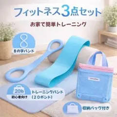 新品未使用】フィットネス3点セット！トレーニングメニュー付き 即購入 