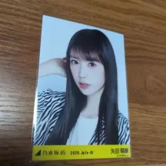 乃木坂46 矢田萌華 生写真 ヨリのサムネイル
