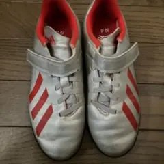 Item thumbnail for item 106a655f-1a4f-44e0-8773-944aef1bc973