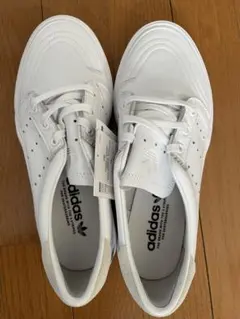 Item thumbnail for item 170831da-88d1-4d6f-b1f0-f274574d5acd