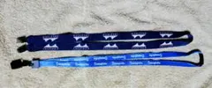 Swagelok EREZTECH ネックストラップ