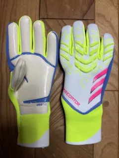 Item thumbnail for item 9d441b6e-dfb8-4a5c-a1c3-bb4365c92140