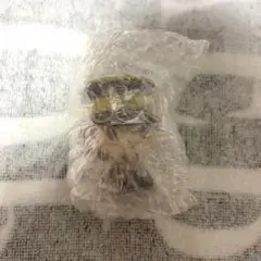 ゴールデンカムイ 一番くじ ちょこのっこ 杉元佐一