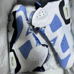 Nike Air Jordan 6 