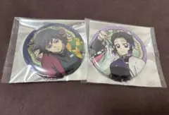 鬼滅の刃　義勇、しのぶランダム缶バッジセット