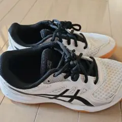 Item thumbnail for item 34b309d1-1b7e-4eea-a91e-561617a2b634