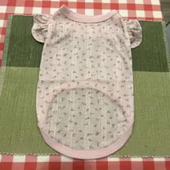 Item thumbnail for item dcd89c97-5d79-41a7-b21d-ac464068572d