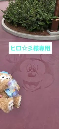 ヒロ☆彡様専用です