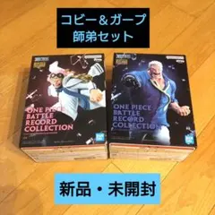 ワンピース　ガープ＆コビー2点セット