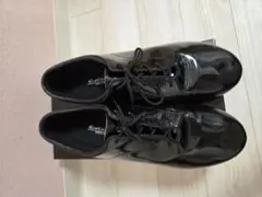 Item thumbnail for item 8efe5500-e94e-43a4-8e43-2d0e303208ee