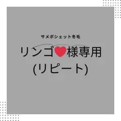 リンゴ❤様専用(リピート)