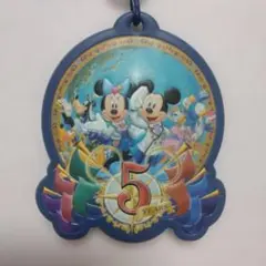 ディズニーシー　5周年記念パークチケットホルダー ストラップ付き