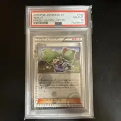 ミツル　ポケキュン　PSA10 ミツル ポケキュン PSA10 【公式通販】