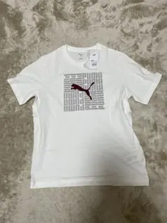 Item thumbnail for item eb8e8899-802f-4cf4-9dc1-4f9e8207c45b