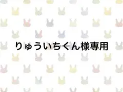 りゅういちくん様専用