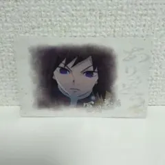 だ*あ様 鬼滅の刃　チェキ風ブロマイド　冨岡義勇