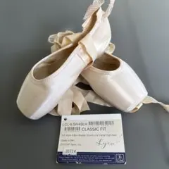 Gaynor MindenLCL-8.5M4PLH 2足セット - メルカリ