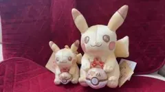 ポケモン 30周年記念 ピカピカ！ピカチュウ ぬいぐるみ マスコット 2点セット