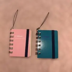 Item thumbnail for item 2fc48d1b-2db0-402c-b073-e5f160e68623