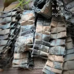 ⭕️ coffee染め"ふりる"お裾分け ジャンクジャーナル　スニペット