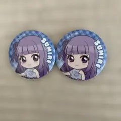 缶バッジ　アイカツ　アイプリ　カツパラ　合同ライブ