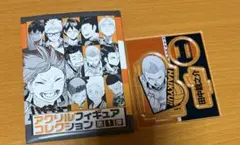 ハイキューアクリルフィギュアコレクション第1弾 田中龍之介