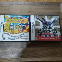 ニンテンドーDS ソフト 2本まとめ売り