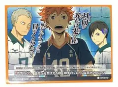 ハイキュー バボカ 烏野 伊達工 日向 青根 二口