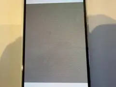 Apple iPhone 14 Promax シルバー 本体